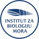 Partner 2
